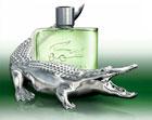 Lacoste Parfum